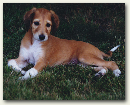 Paul at 6 weeks