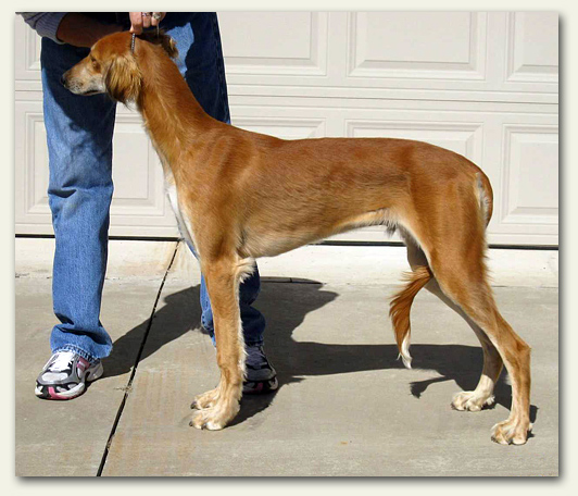 RED at six months