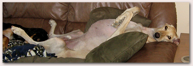 It's a tough life, isn't it?