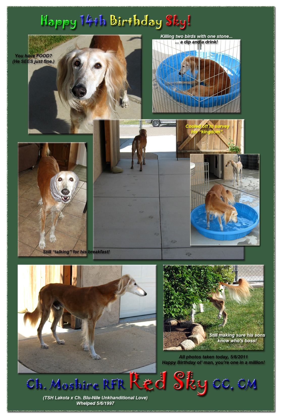 Happy 14th Birthday Sky!